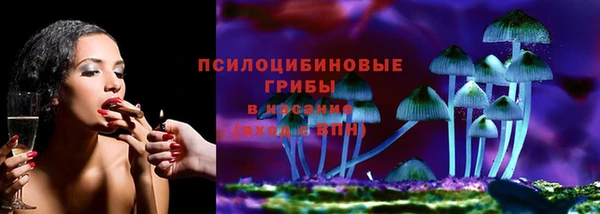 стаф Абдулино