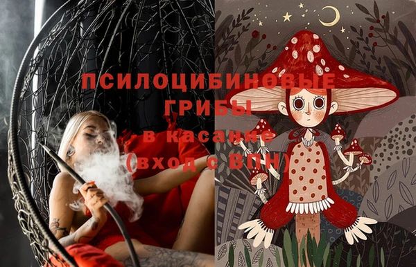 крисы Абинск