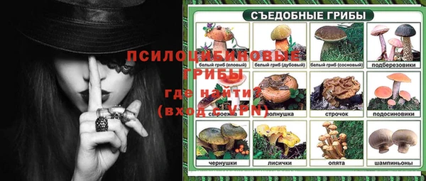дмт Абаза