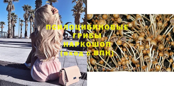 крисы Абинск