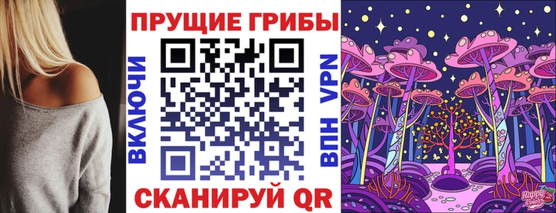 Галлюциногенные грибы Psilocybine cubensis  где можно купить наркотик  Нальчик 