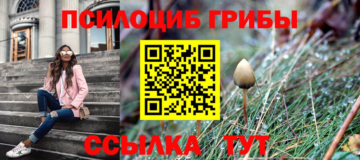 Псилоцибиновые грибы ЛСД Нальчик