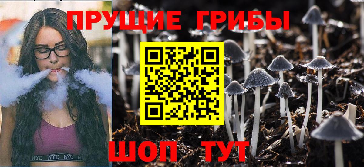 закладка  Галлюциногенные грибы MAGIC MUSHROOMS  Вход с VPN  Нальчик 